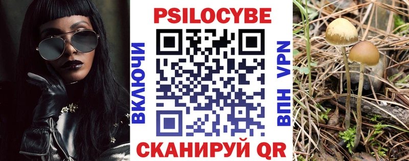 Псилоцибиновые грибы Magic Shrooms  Зуевка 